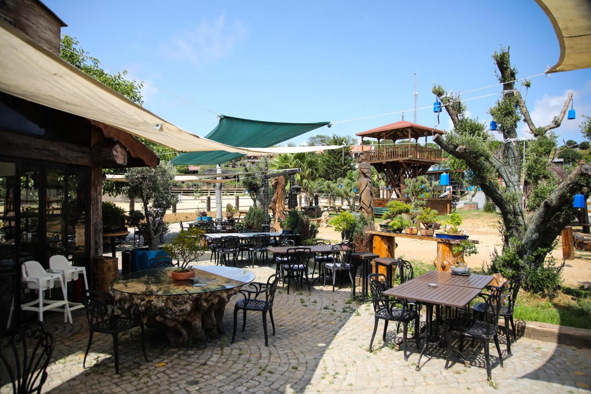 Mavi At Hotel Blue Horse Gumusdere Экстерьер фото